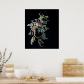 Leafy Seadragon & Mysid Shrimp Poster (Keuken)