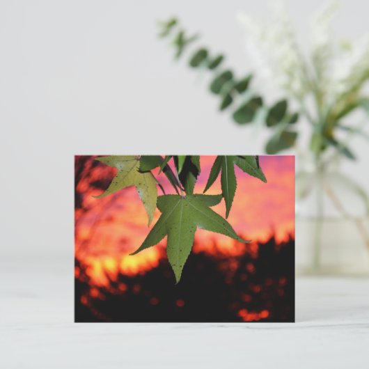Leafy Sunset Briefkaart (Staand voorkant)