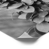 Leafy Vine On Tree Black And White  Poster (Hoek)