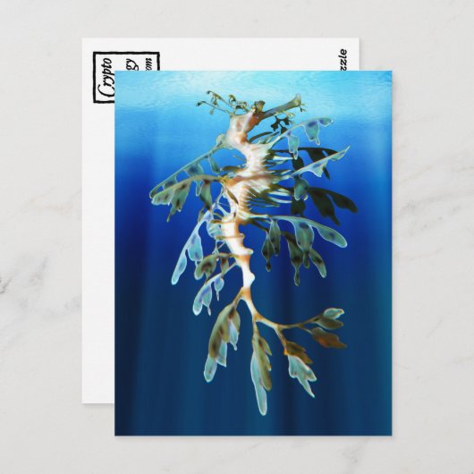 Leafy Zee Dragon Briefkaarten (Voorkant / Achterkant)