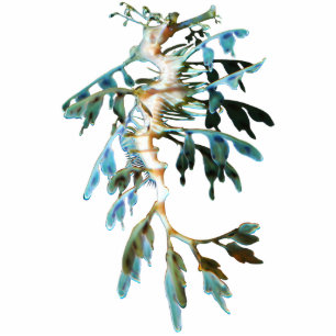 Leafy Zee Dragon Cutout Magnet/Sculpture Fotobeeldje Magneet