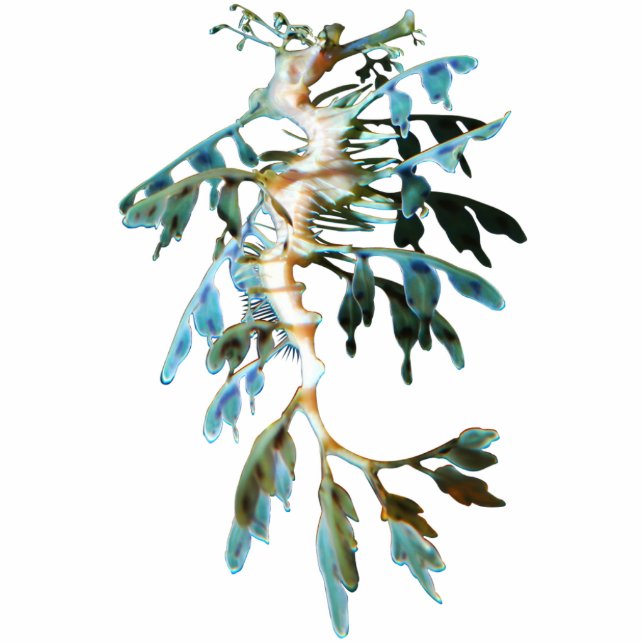 Leafy Zee Dragon Cutout Magnet/Sculpture Fotobeeldje Magneet (Voorkant)