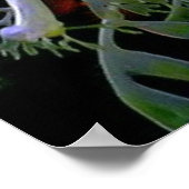 Leafy Zee Dragon Poster (Hoek)