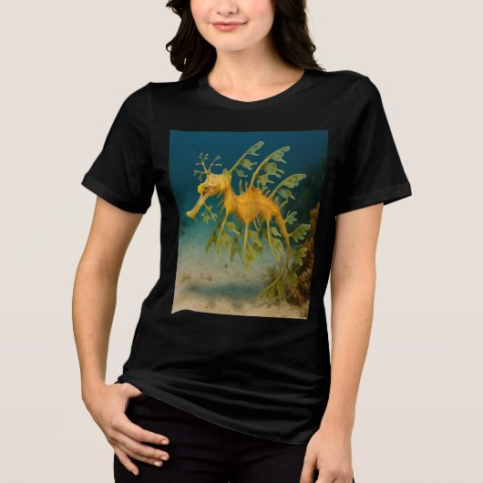 Leafy Zee Dragon Tri-Blend Shirt (Voorkant)