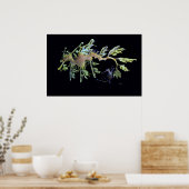 Leafy Zee Dragon & Weedy Seadragon Poster (Keuken)