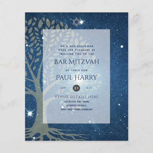 LeahG Elegant Chique Bar Mitzvah Joods Torah Chiqu Flyer (Voorkant)