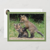 Lean over mij briefkaart (Voorkant / Achterkant)