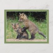 Lean over mij briefkaart (Voorkant)