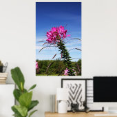Leaning Cleome Poster (Thuiskantoor)