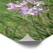 Leaning Flowers Poster (Hoek)