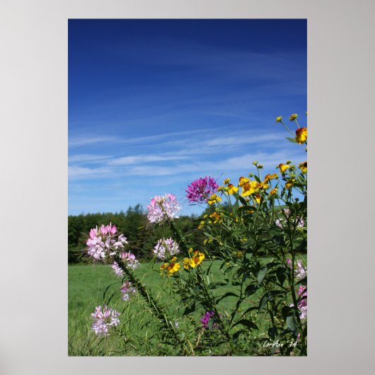 Leaning Flowers Poster (Voorkant)
