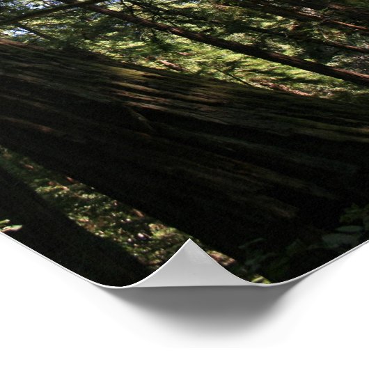 "Leaning Giants", Muir Bossen Poster (Hoek)