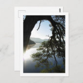 Leaning Pine: Friar's Crag, Derwentwater Briefkaar Briefkaart (Voorkant / Achterkant)