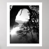 Leaning Pine: Friar's Crag, Derwentwater Poster (Voorkant)