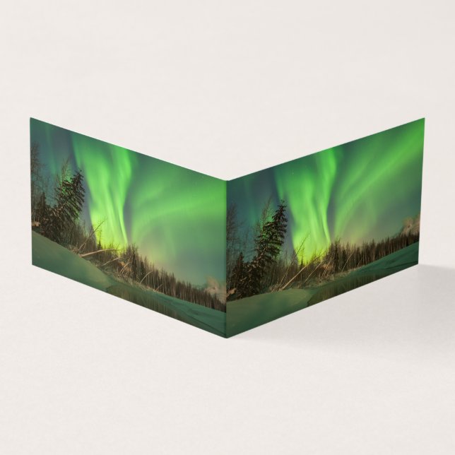 Leaning Spruce Aurora Kaart (Buitenkant)