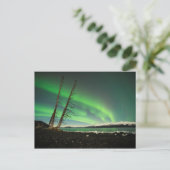 Leaning Tree Aurora Briefkaart (Staand voorkant)