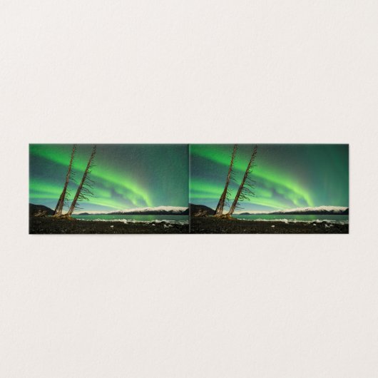 Leaning Tree Aurora Kaart (Buitenkant ongevouwen)