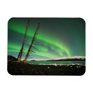 Leaning Tree Aurora Magneet