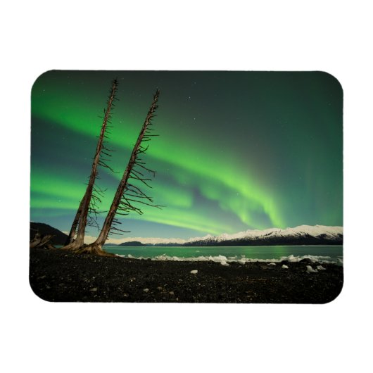 Leaning Tree Aurora Magneet (Horizontaal)