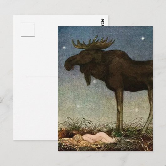 "Leap Finds the Sleeping Princess" van John Bauer Briefkaart (Voorkant / Achterkant)