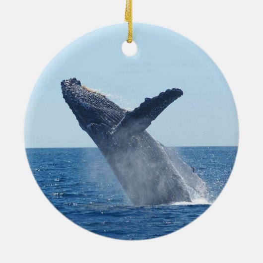 Leap Year 2024 Keramisch Ornament (Achterkant)