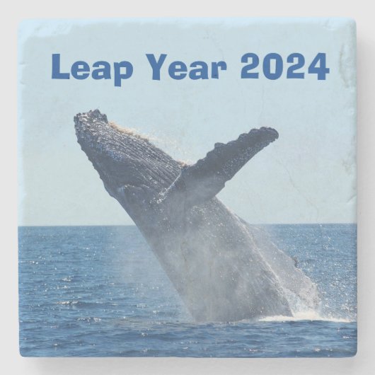 Leap Year 2024 Stenen Onderzetter (Voorkant)