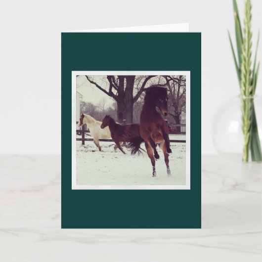 Leaping Avery Holiday Kaart (Voorkant)