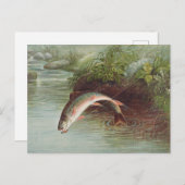 Leaping Brook Trout beroemd gemaakt door S.A. Kilb Briefkaart (Voorkant / Achterkant)