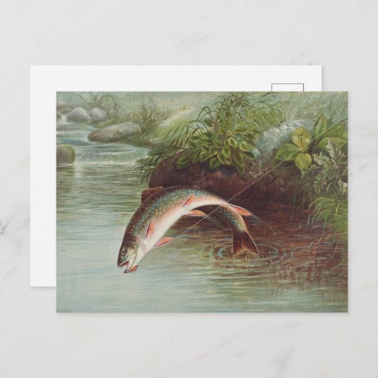 Leaping Brook Trout beroemd gemaakt door S.A. Kilb Briefkaart (Voorkant / Achterkant)