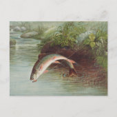 Leaping Brook Trout beroemd gemaakt door S.A. Kilb Briefkaart (Voorkant)