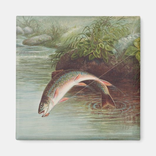 Leaping Brook Trout beroemd gemaakt door S.A. Kilb Magneet (Voorkant)