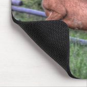 Leaping Deer Buck op Ranch Wildlife Foto Muismat (Hoek)