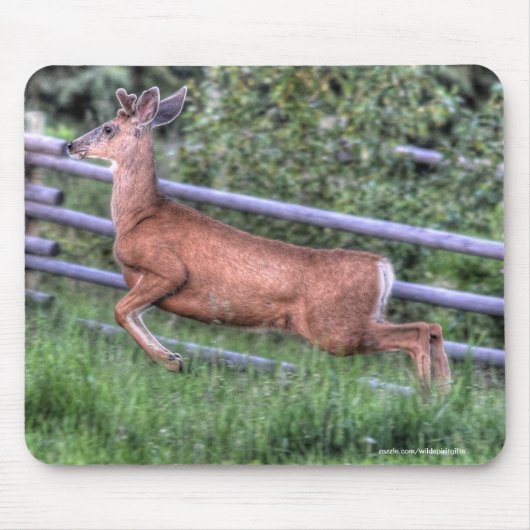 Leaping Deer Buck op Ranch Wildlife Foto Muismat (Voorkant)