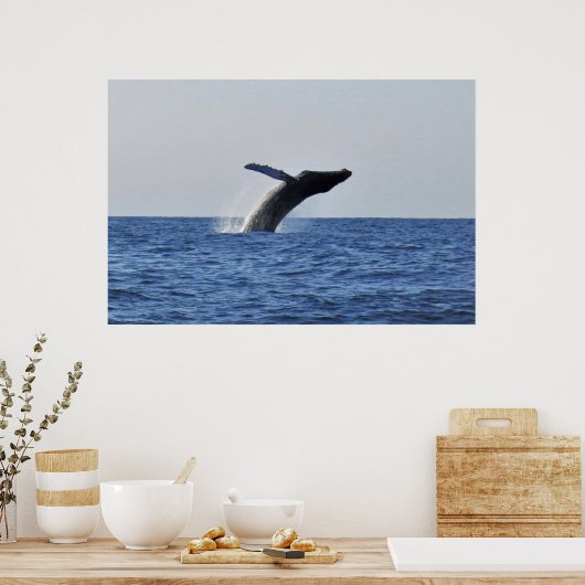 Leaping Humpback Poster (Keuken)