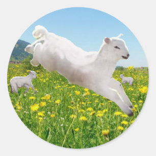 Leaping Lambs Pasen afspelen Ronde Sticker