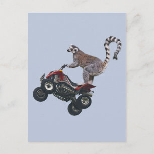 Leaping Lemur Briefkaart
