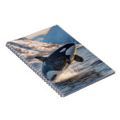 Leaping Orca Arctic Ocean Wildlife Art Notitieboek (Rechterzijde)