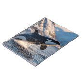 Leaping Orca Arctic Ocean Wildlife Art Notitieboek (Linkerzijde)