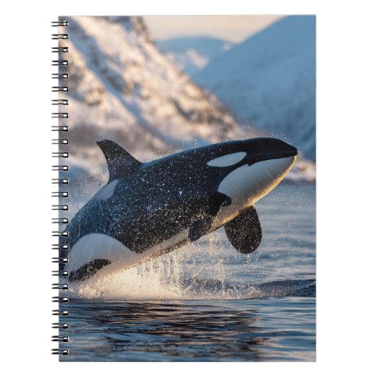 Leaping Orca Arctic Ocean Wildlife Art Notitieboek (Voorkant)