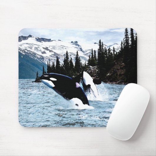 Leaping Orca Muismat (Met muis)