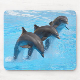 Leapings Dolphins Mouse Mat Muismat