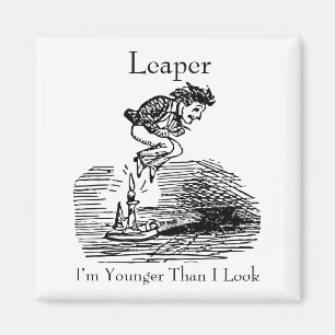 Leapjaar op laatste dag magneet