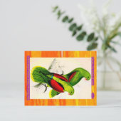 Lear. Crimson-winged Paraket. Vrouw en jonge man Briefkaart (Staand voorkant)