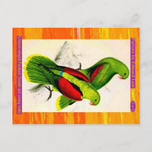 Lear. Crimson-winged Paraket. Vrouw en jonge man Briefkaart