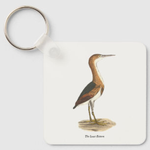 Least Bittern (Ixobrychus exilis) vogels uit New Y Sleutelhanger