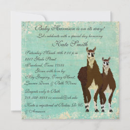 Leather Llamas Baby Invitation Kaart