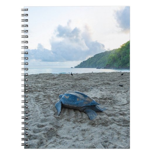 Leatherback Turtle Note Book Notitieboek (Voorkant)