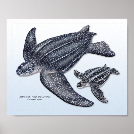 Leatherback Zee Turtle Adult en Juvenile Print (Voorkant)