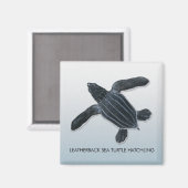 Leatherback Zee Turtle Hatchling Magnet (Voorkant / Achterkant)