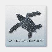 Leatherback Zee Turtle Hatchling Magnet (Voorkant)